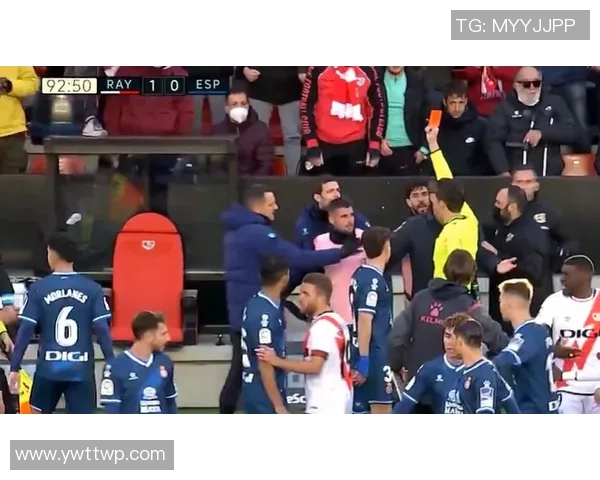 2004年男篮决战西班牙回顾：辉煌时刻与经典对决的传奇故事